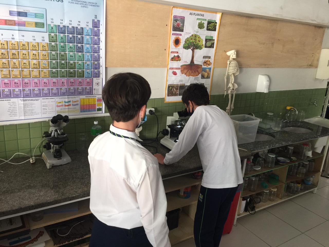 Novidades na aula de ciências do laboratório do Bosque